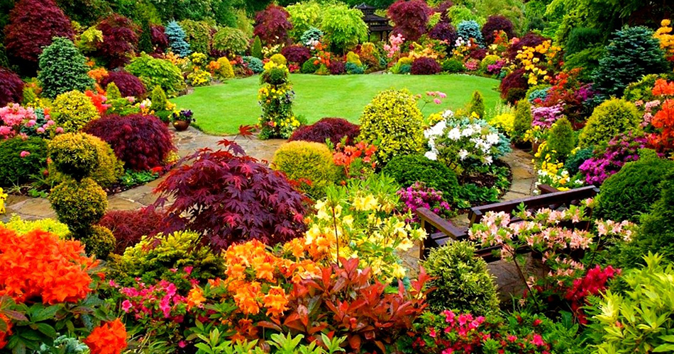 How To Start A Flower Garden From